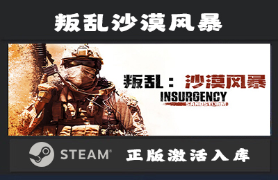 Steam游戏 叛乱沙漠风暴  Insurgency Sandstorm 国区 正版激活入库