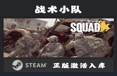 Steam游戏 战术小队/Squad 国区 正版激活入库