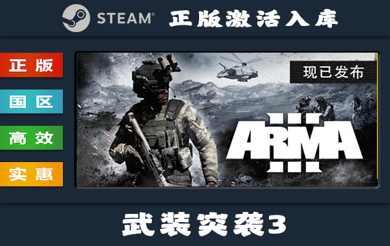 Steam游戏 武装突袭3/Arma 3 国区 正版激活入库