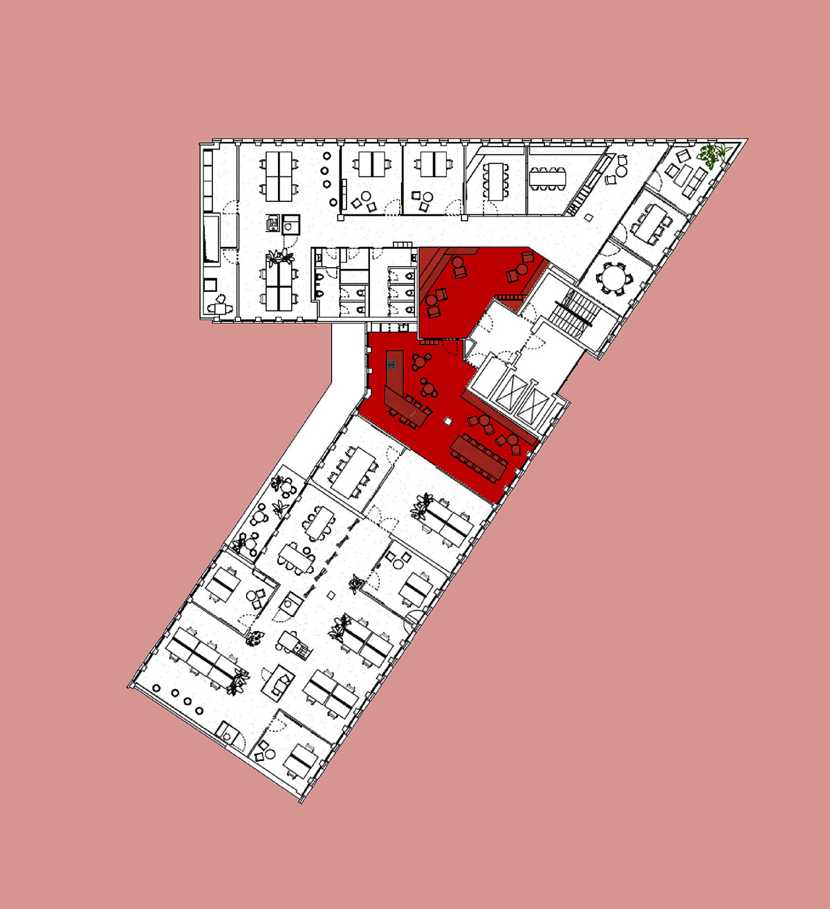 咨询公司Acterience慕尼黑办公室设计：极简美学空间